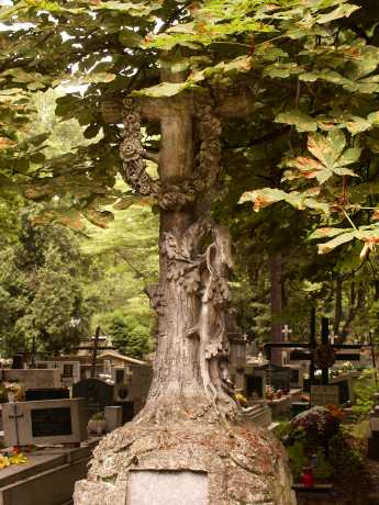 spis.php?category_id=115