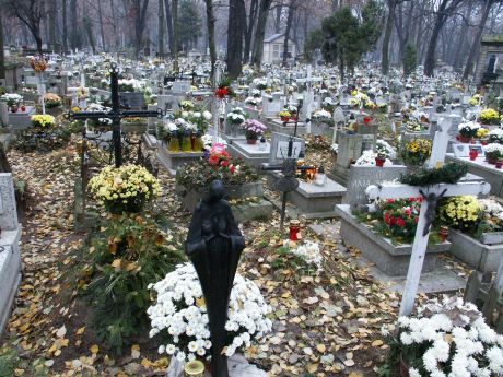 spis.php?category_id=115