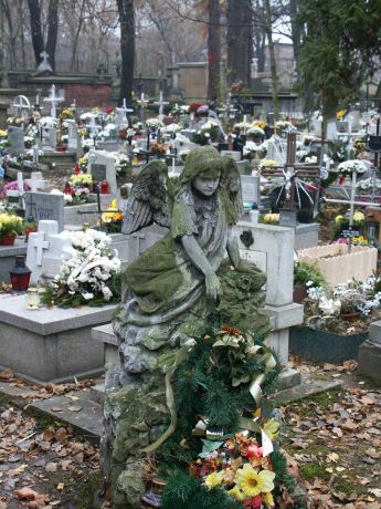 spis.php?category_id=115