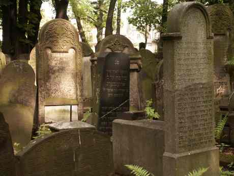 spis.php?category_id=117