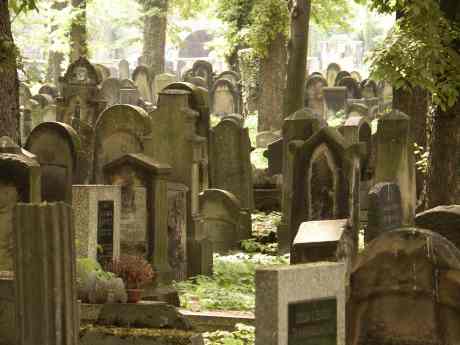 spis.php?category_id=117