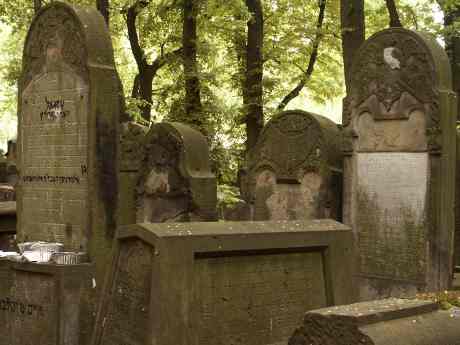 spis.php?category_id=117