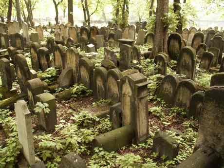 spis.php?category_id=117