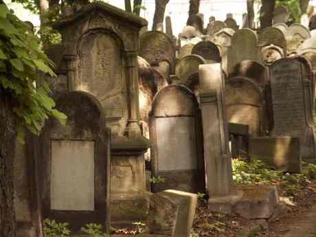 spis.php?category_id=117