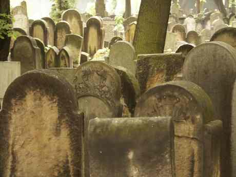 spis.php?category_id=117