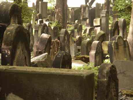 spis.php?category_id=117