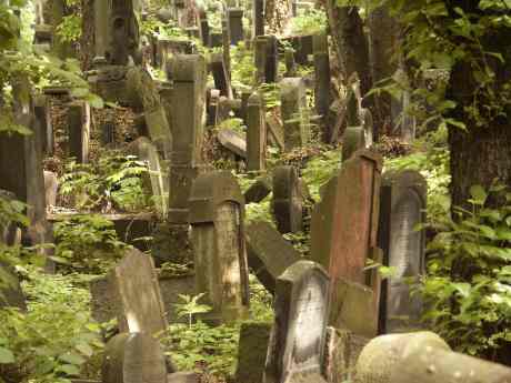 spis.php?category_id=117