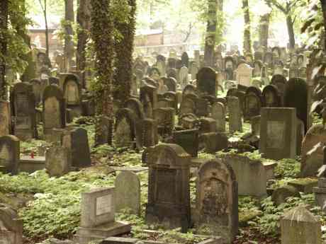 spis.php?category_id=117