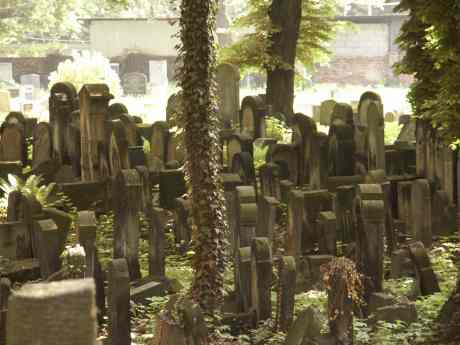 spis.php?category_id=117