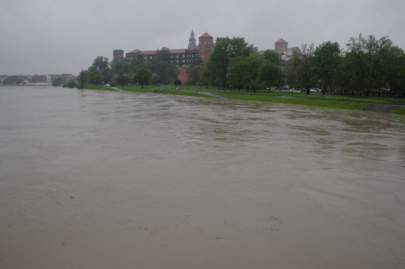 spis.php?category_id=432