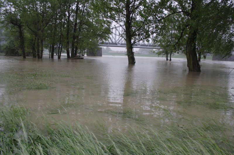 spis.php?category_id=432