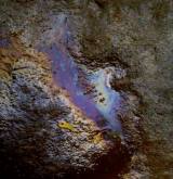 photo.php?category_id=192&file_id=3447&fileBackPage=1&filesPage=13